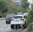 На проспекте Мира в Южно-Сахалинске дерево упало на автомобили - News.Astv.Ru