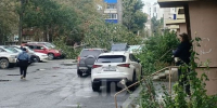 На проспекте Мира в Южно-Сахалинске дерево упало на автомобили - News.Astv.Ru