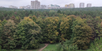 Погода на 4 октября 2026 года в Крыму и Севастополе: воздух прогреется до 20 градусов - Комсомольская правда