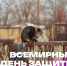 4 октября отмечается Всемирный день защиты животных - Газета Пригород