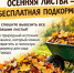 Как превратить осеннюю листву в подкормку для сада - Газета Тетюшские зори