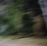 IMG20261003194450.jpg - Ozersk74.Ru