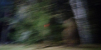 IMG20261003194450.jpg - Ozersk74.Ru