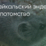 Поделитья во ВКонтакте - Братская Студия Телевидения