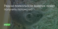 Поделитья во ВКонтакте - Братская Студия Телевидения