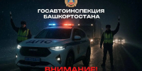 Владимир Севастьянов // МАХ - Сетевое издание Республика Башкортостан