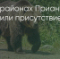 Поделитья во ВКонтакте - Братская Студия Телевидения