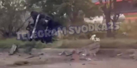 «В хлам, запчасти раскидало по дороге»: два авто столкнулись в жутком ДТП в Находке - ГТРК Владивосток