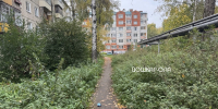 Популярный у йошкаролинцев короткий путь к школе №10 оброс множеством проблем - Газета Йошкар-Ола