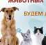 Поможем вместе животным, оставшимся без дома! - Газета Макарьевский вестник