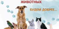 Поможем вместе животным, оставшимся без дома! - Газета Макарьевский вестник