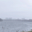 Фото: ПАИ - InformPskov.Ru