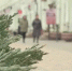 В Омской области ожидается похолодание: снег, гололедица и порывы ветра - ГТРК Иртыш