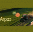 Саратовцев пригласили сформировать современный образ отечественного АПК - Комсомольская правда