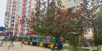 В Мордовию возвращается «почти летнее» тепло до +18 градусов - Pg13.Ru