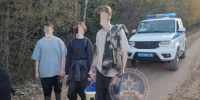 Спасатели вывели из леса под Киришами троих потерявшихся детей - 47Channel.Ru
