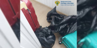 В гараже у задержанного в Воронежской области мужчины нашли ещё одно тело - ГТРК Воронеж