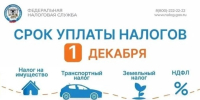 Белгородцам напомнили об уплате налогов до 1 декабря - Сетевое издание Знамя 31