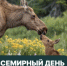 Ежегодно 4 октября отмечают Всемирный день защиты животных - Министерство лесного хозяйства