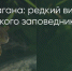 Поделитья во ВКонтакте - Братская Студия Телевидения