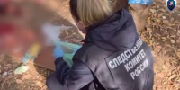 Бастрыкин заинтересовался делом об убийстве 52-летней ижевчанки - Комсомольская Правда