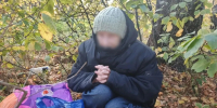 Сидит в кустах: ярославцы переживают из-за ночующей на улице бабушки - YarNews.Ru