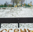 Так рано снег в Перми не ложился с 2010 года - VikiPerm.Com
