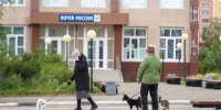 Жителя Терского округа оштрафовали за выгул собаки без поводка - КП Мурманск