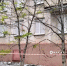 Удар беспилотников был нанесен по Белгороду: одна погибшая, раненые и масштабные разрушения жилого фонда - Metro Петербург