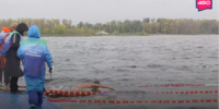 На пляже Полевого спуска Волги прошел Чемпионат Самарской области по зимнему плаванию. - НИА Самара