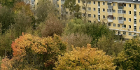 Сегодня в Калуге облачно и без осадков - Калужская неделя