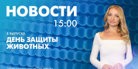 Новости Петербурга к 15:00 - tvspb.ru - ТК Санкт-Петербург