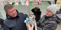 В Уфе благодаря акции 35 животных обрели дом - Сетевое издание Ufaved.Info