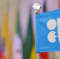 Семёрка ОПЕК+ сохранила неизменным план по добыче нефти в ноябре - Говорит Москва