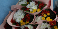 Волгоградцам дали советы по выбору и хранению живых цветов ко Дню учителя - Волга-Медиа