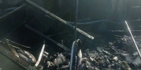 Кошки и собаки погибли на пожаре в СНТ в Нижнем Новгороде - фото 1 - vGorodeN.Ru