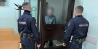 В Ижевске в отношении подростка, обвиняемого в убийстве с особой жестокостью, избрана мера пресечения в виде заключения под стражу - Следственный комитет