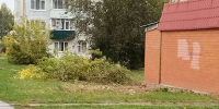 В Воротынске привели в порядок пешеходную дорожку - Телерадиокомпания Ника