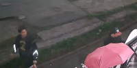«Как же опускаются руки»: в Петрозаводске снова украли зонт с оформления цветочного магазина - Gubdaily.Ru
