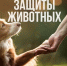 Со Всемирным днем защиты животных! - Справедливая Россия