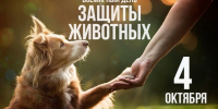 Со Всемирным днем защиты животных! - Справедливая Россия