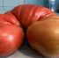 m4utrub283rdr8o70m6s287u9wzr40uc - Novosti-Saratova.Ru
