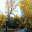 осень - Novosti-Saratova.Ru