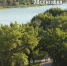 Фото donnews.ru - DonNews.Ru