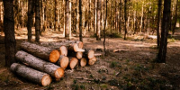 Фото: https://www.magnific.com - News29.Ru