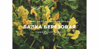 Дмитрий Миляев поведал тулякам о красотах родного края - Молодой коммунар