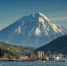Фото: Kokhanchikov/Shutterstock/Fotodom - Ямал-Медиа