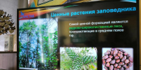 4b8be3ff-d11f-45cf-a026-2470ffc084ba - Заповедник Бастак