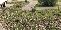 Сотрудники министерства жилищной политики и энергетики Иркутской области приняли участие в экспедиции Госкорпорации «Росатом» - Министерство жилищной политики и энергетики