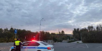 В НАЦИОНАЛЬНОМ ПАРКЕ КУЛЬТУРЫ И ОТДЫХА Г. КЫЗЫЛА ЗАМЕЧЕН МЕДВЕДЬ! - Администрация г. Кызыл